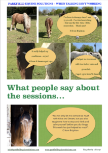 equine therapy sussex