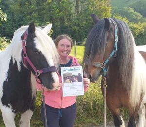 equine therapy sussex