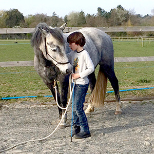 Boy with Therapy Horse