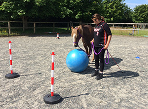 Horse Therapy - Guiding Horse